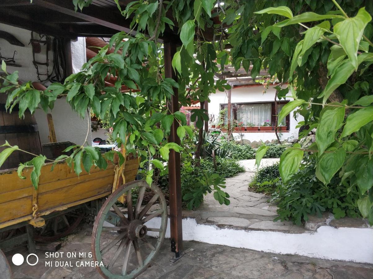 Отель Papanovata House Enina Экстерьер фото